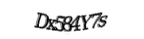 Security check image, please type the characters shown