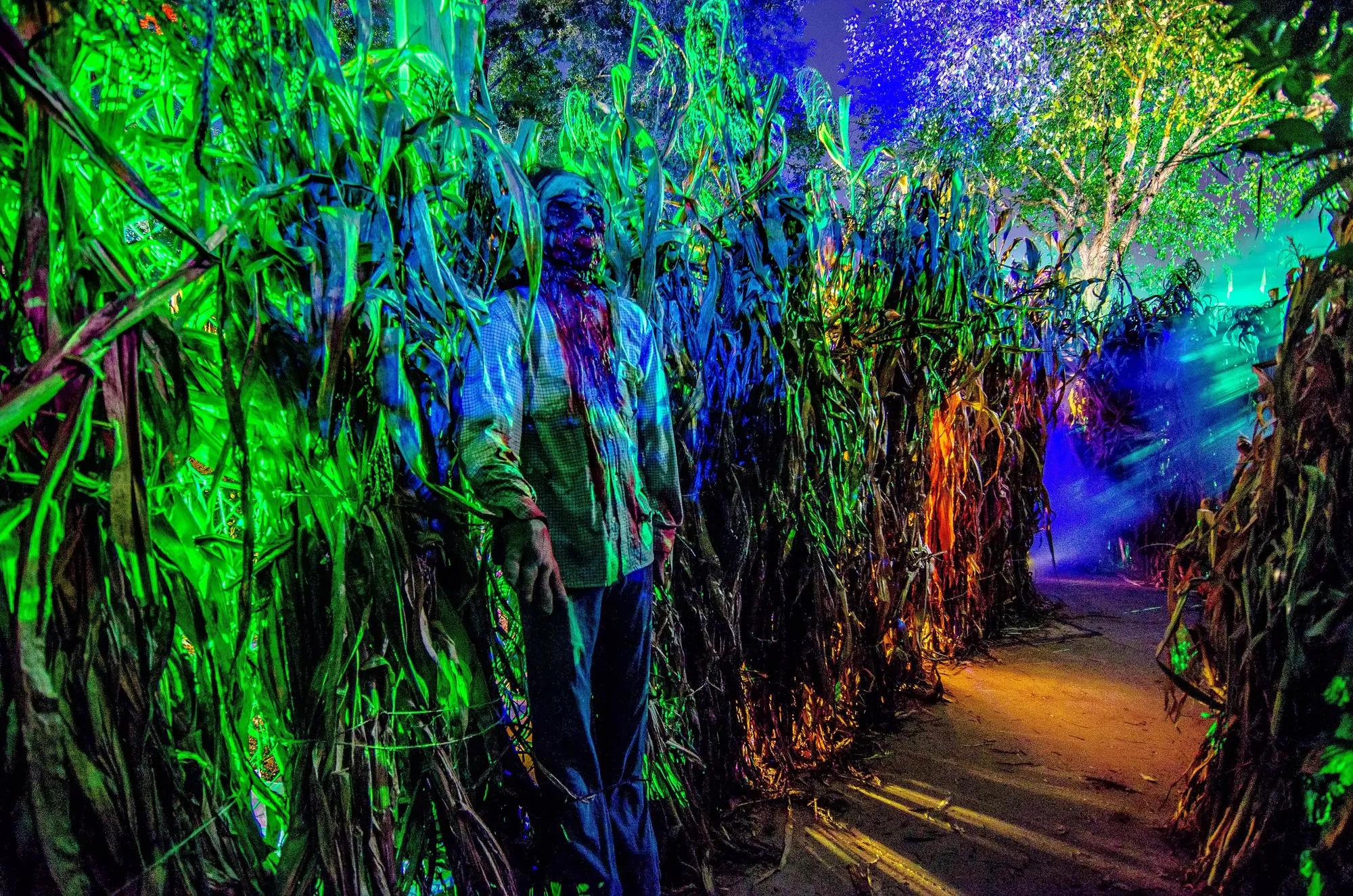Kings Dominion Season Pass Guide: What Frequent Visitors Need to Know at Kings Dominion